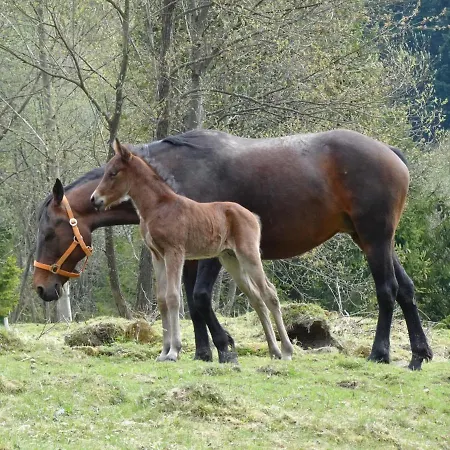 Domek Mysliwski W Gorach Ujsoły Exteriér fotografie