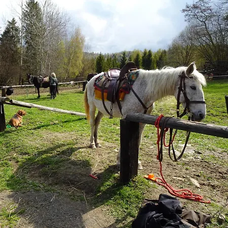 Domek Mysliwski W Gorach Ujsoły Exteriér fotografie