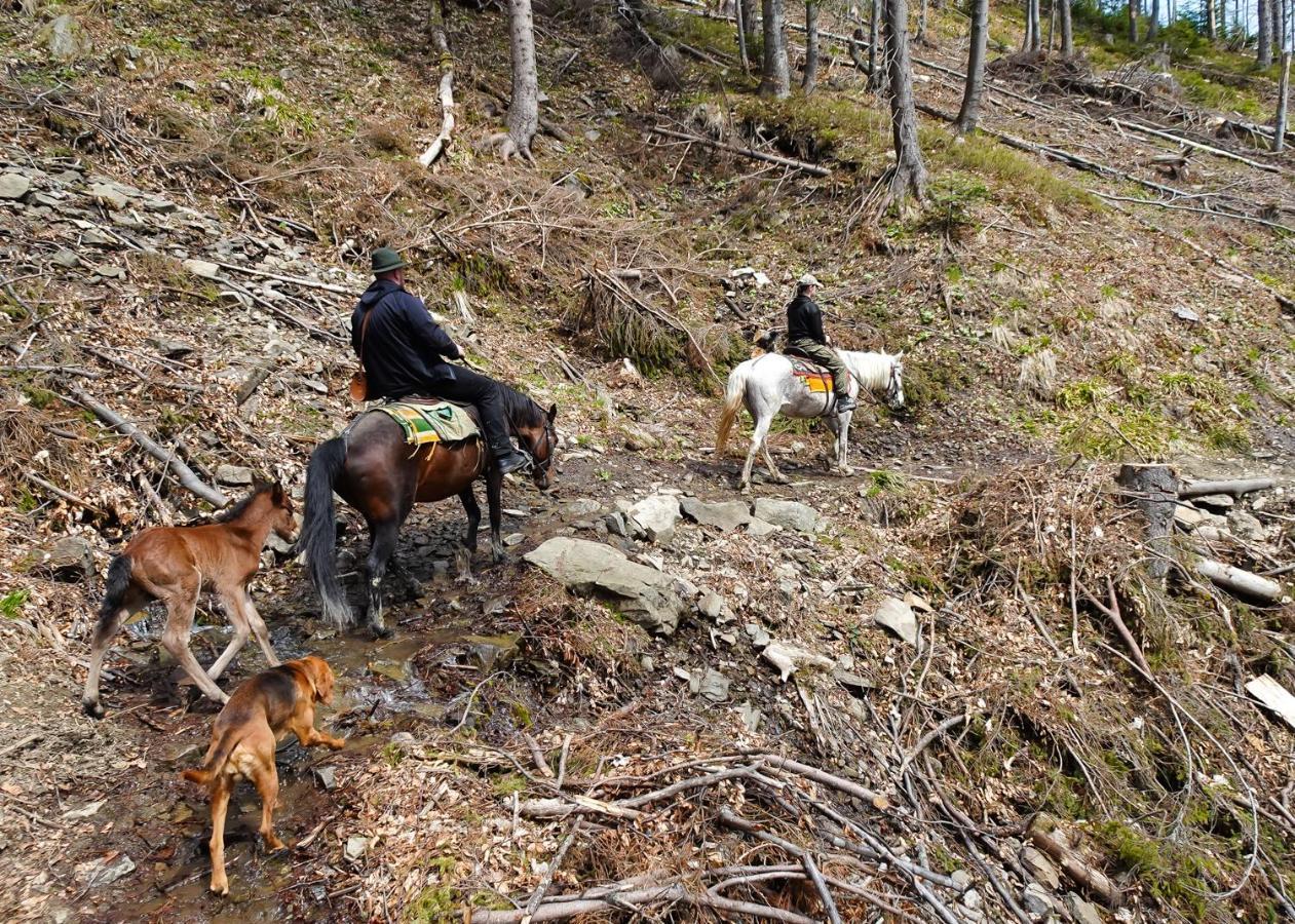 Chalet Mysliwski W Gorach Ujsoly