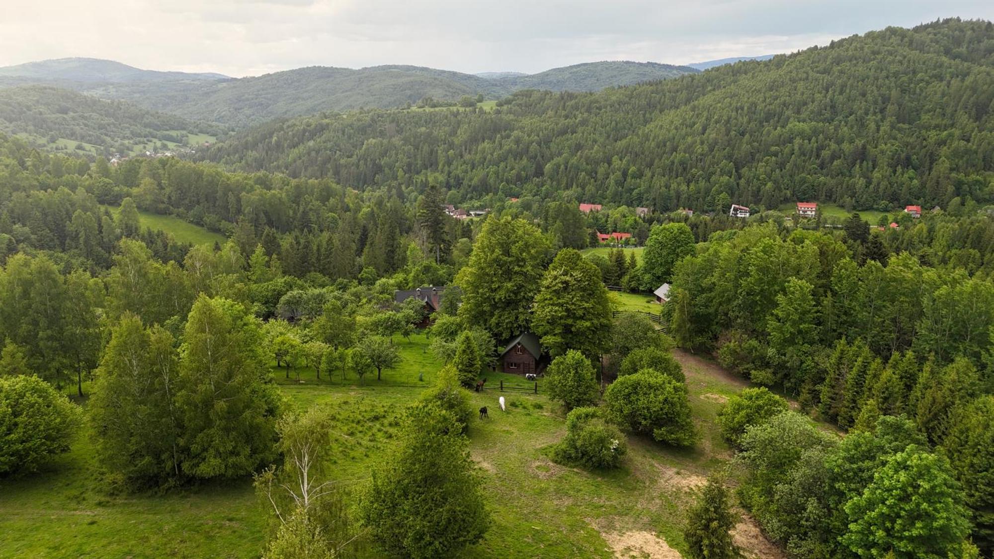 Mysliwski W Gorach Chalet Ujsoly