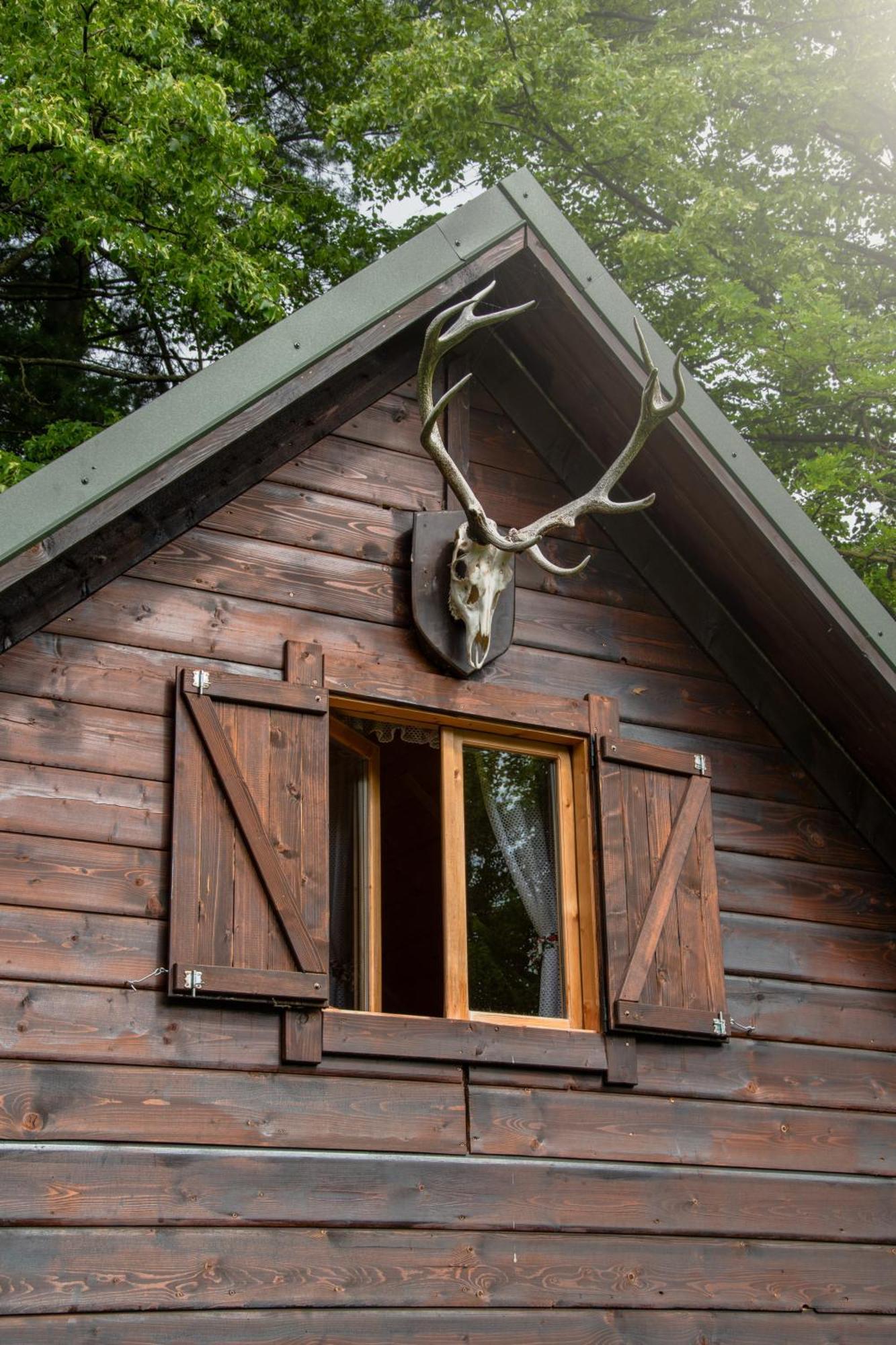Chalet Mysliwski W Gorach